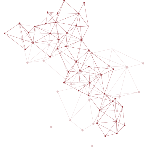 Netz