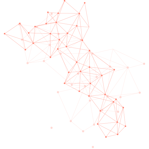 netz